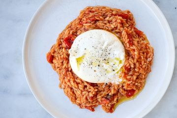 Orzo all' arrabbiata with burrata